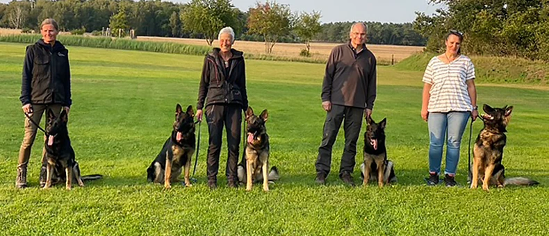 Ein Foto von 4 Hundetrainern mit ihren Hunden, in einer Reihe stehend.