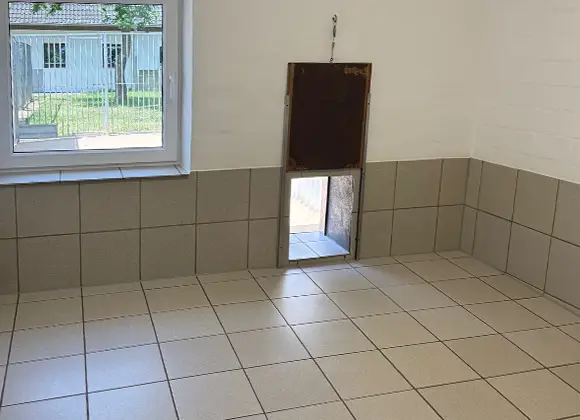Foto vom Innenraum mit Fußbodenheizung in der Hundepension, mit Fenster und Durchgang zum Außenbereich – Hunde-Service Leisterförde